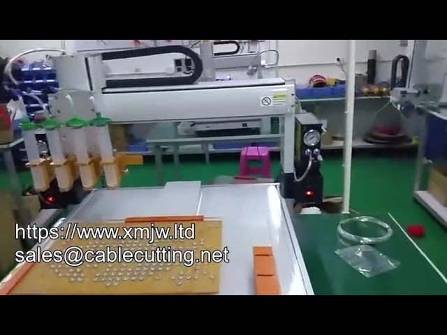 맞춤형 지능형 자동 3축 4축 접착제 도포기