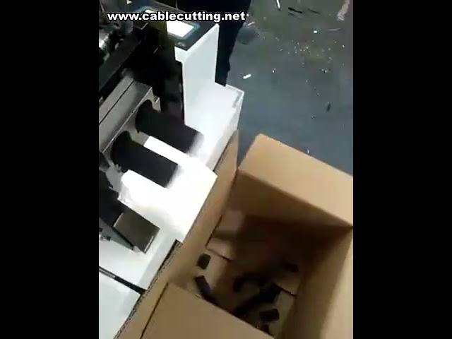 자동 고무밴드 절단기 | 고무줄 절단기 가격 및 성능 비교
