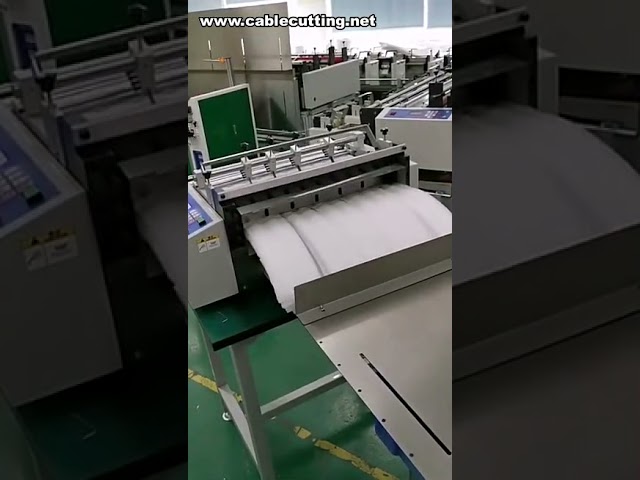 PVC 수축 필름 절단기 | 플라스틱 포장 필름 절단기 | PP 무광 플라스틱 벨트 절단기