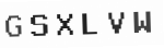 Verification Code Image